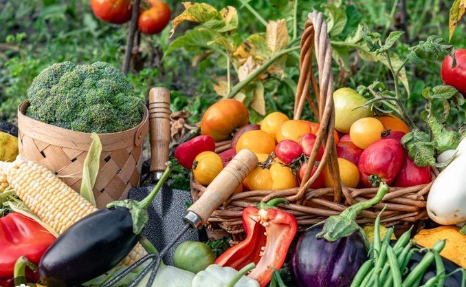 Farm-to-Table Dining: Benefits and Trends